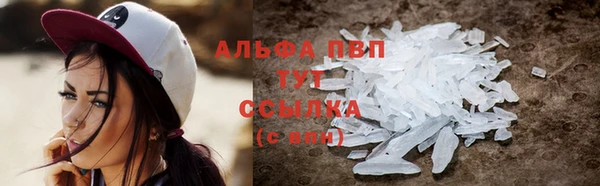 сатива Козловка
