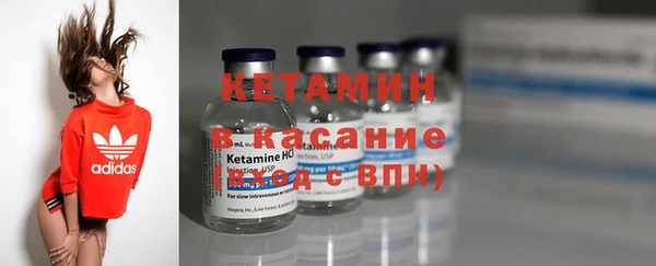 сатива Козловка