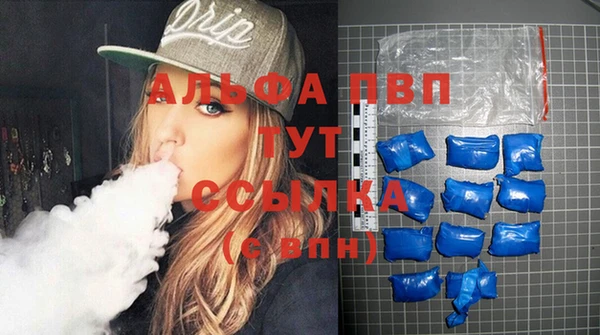 сатива Козловка