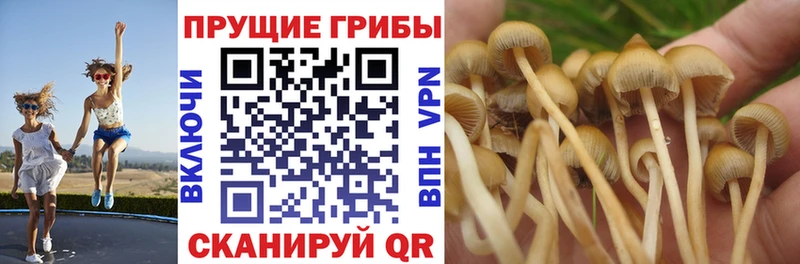 Псилоцибиновые грибы мухоморы  Мариинский Посад 